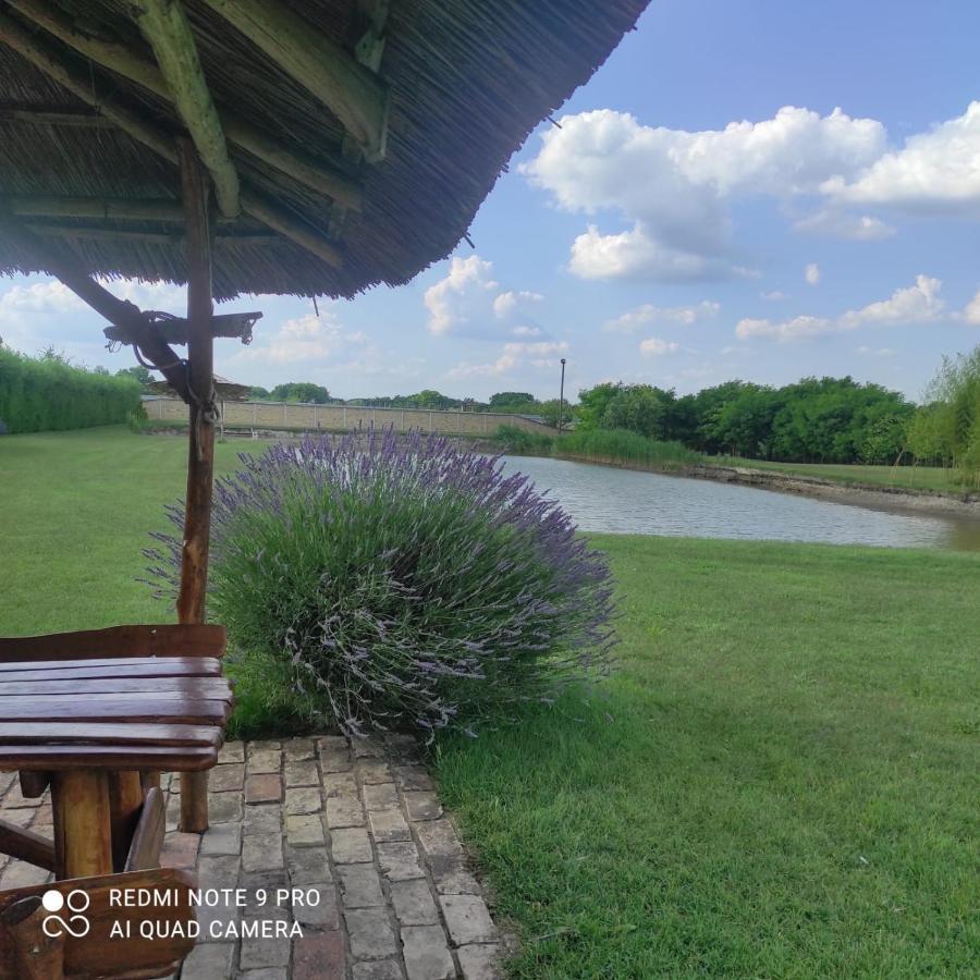 Jezero Apartman Appartement Palić Buitenkant foto