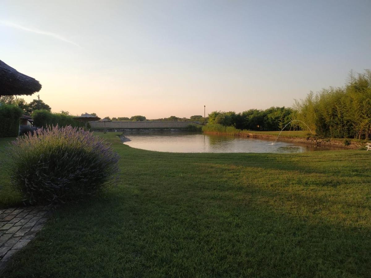 Jezero Apartman Appartement Palić Buitenkant foto