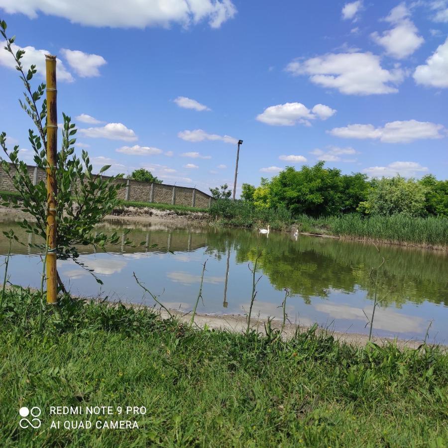 Jezero Apartman Appartement Palić Buitenkant foto