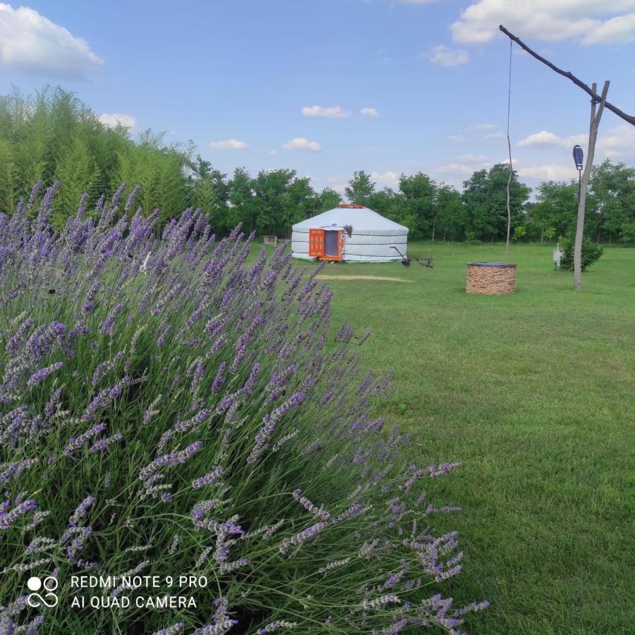 Jezero Apartman Appartement Palić Buitenkant foto