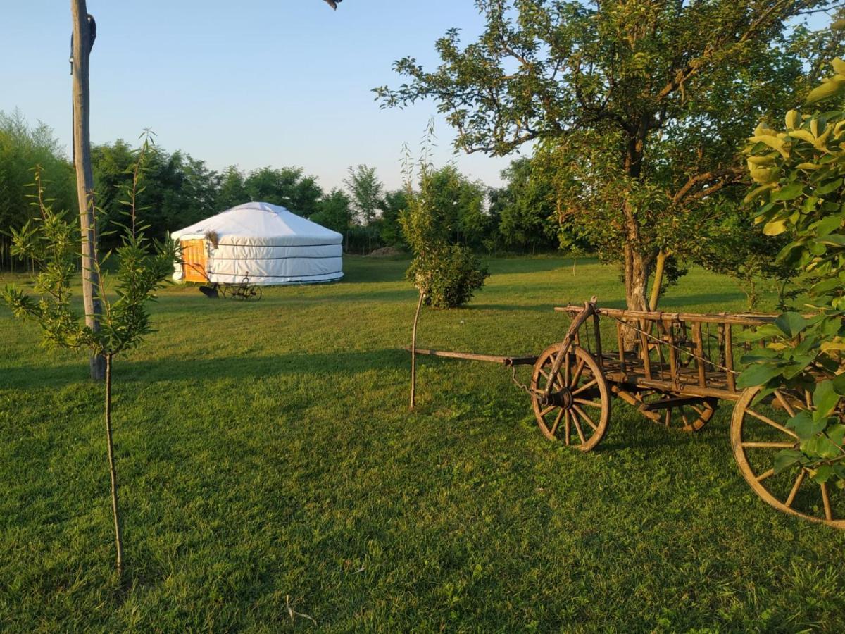 Jezero Apartman Appartement Palić Buitenkant foto