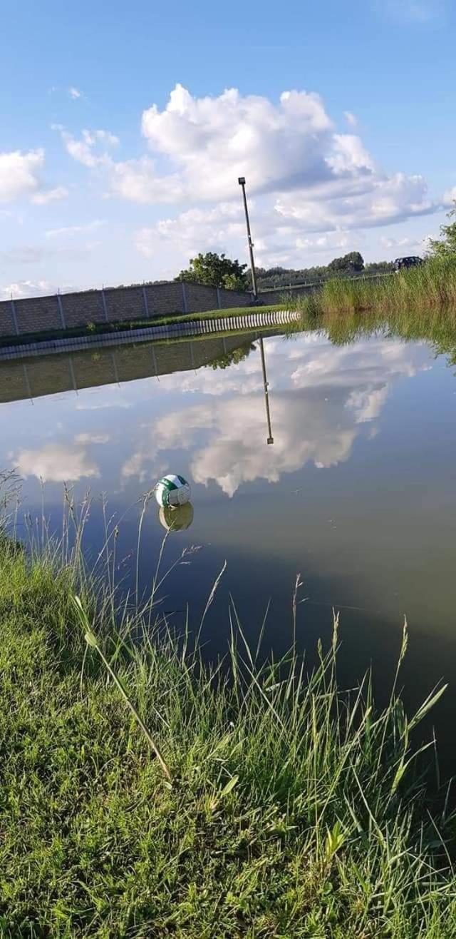 Jezero Apartman Appartement Palić Buitenkant foto