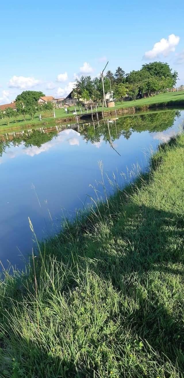 Jezero Apartman Appartement Palić Buitenkant foto