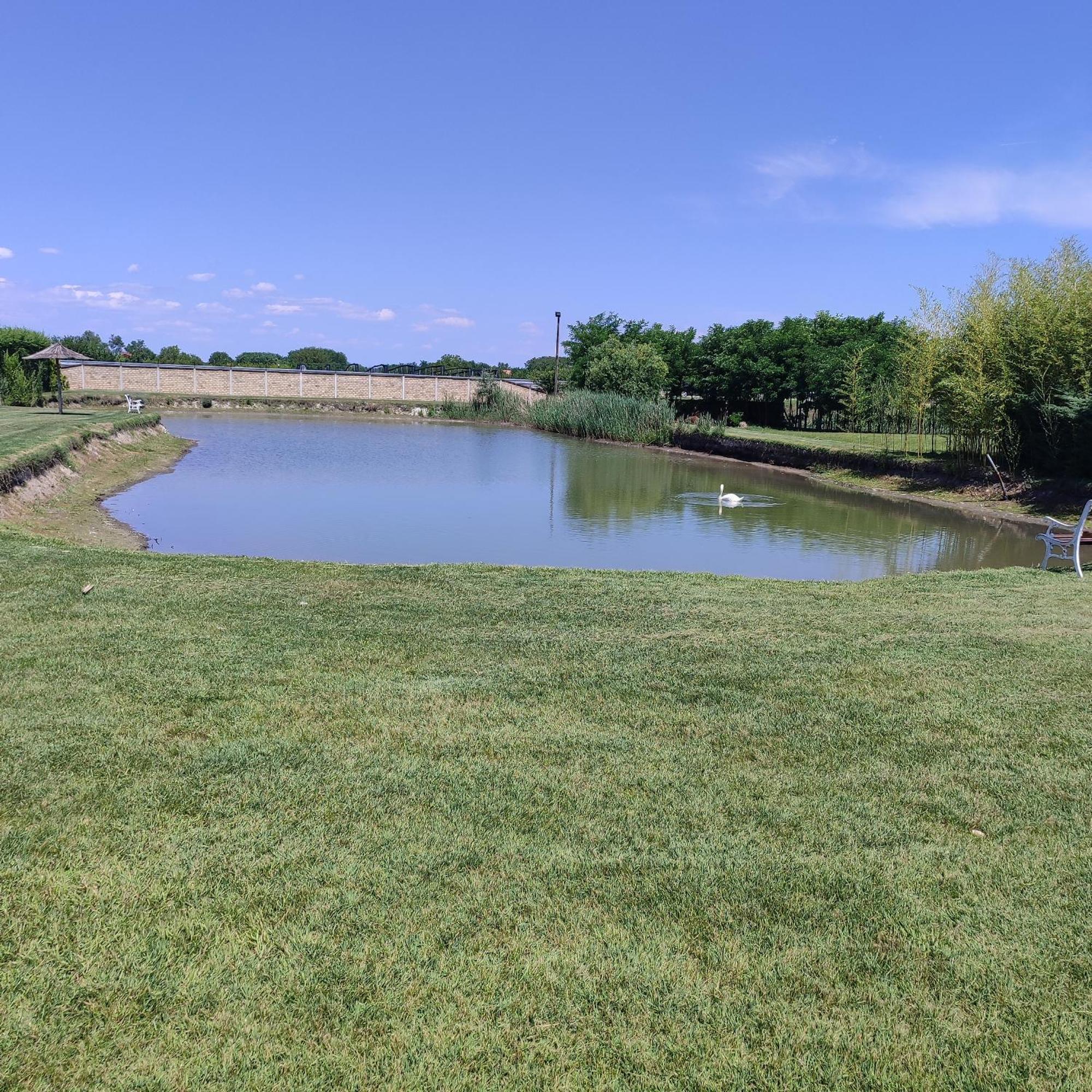 Jezero Apartman Appartement Palić Buitenkant foto