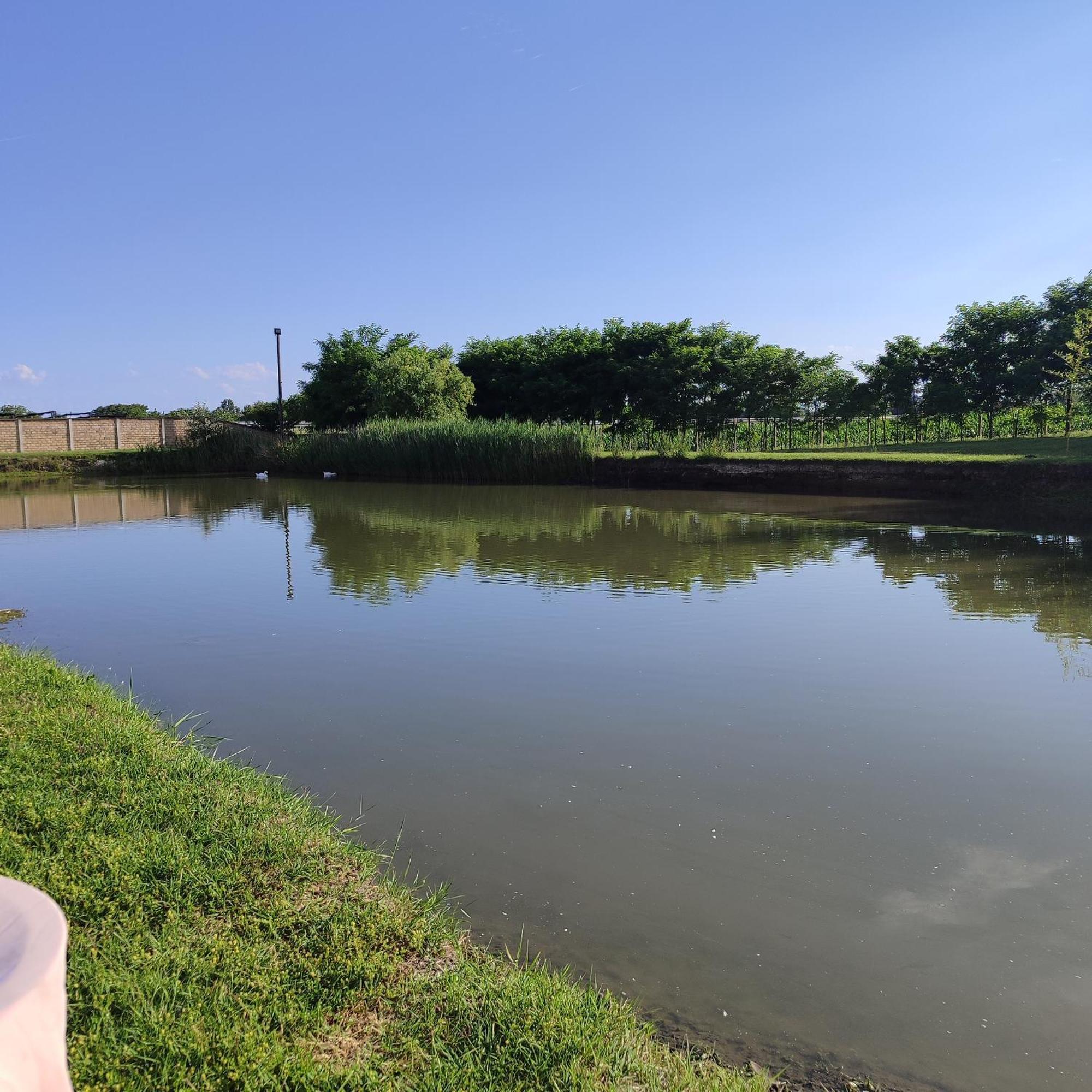 Jezero Apartman Appartement Palić Buitenkant foto